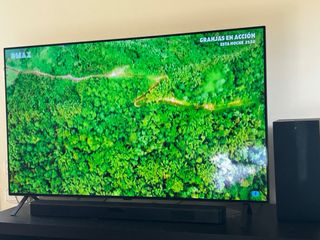 TV LG OLED 55 (incluye barra sonido LG)