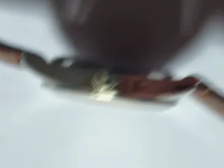 Reloj Viceroy Mujer Marrón y Dorado