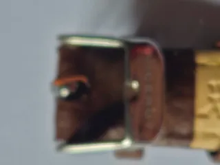 Reloj Viceroy Mujer Marrón y Dorado