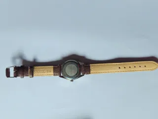 Reloj Viceroy Mujer Marrón y Dorado