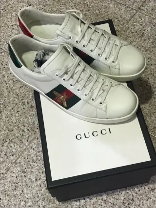 Scarpe Gucci Ace Uomo