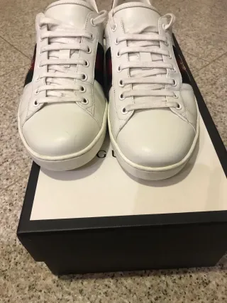 Scarpe Gucci Ace Uomo