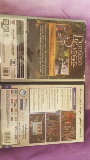 Juegos PC: Dungeon Siege y Sim City 4
