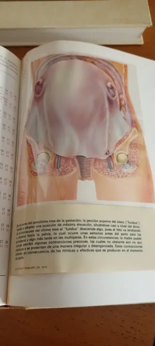 Colección 2 libros mujer antiguos