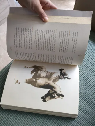 Gran Diccionario De Los 1000 Suenos (Descubra E...