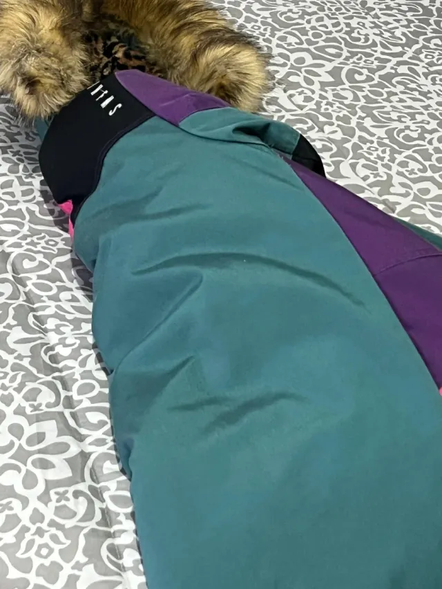 Chaqueta Invierno GRMY Morado/Verde