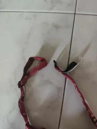 Papillon bambino fantasia bandana rosso