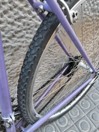 Tienda:  Bicicleta Gravel economica T56 + candado