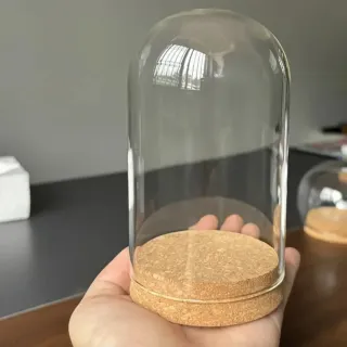 Cúpula terrario plantas interior craneo acuario