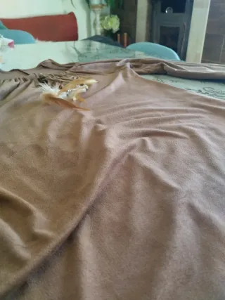 Vestido marrón con cordones y plumas