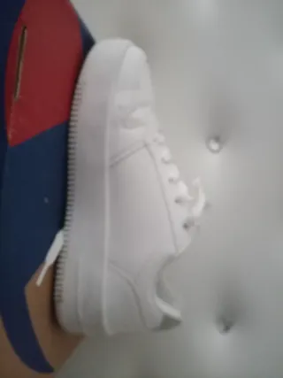 Tenis Champion Blancos con Caja