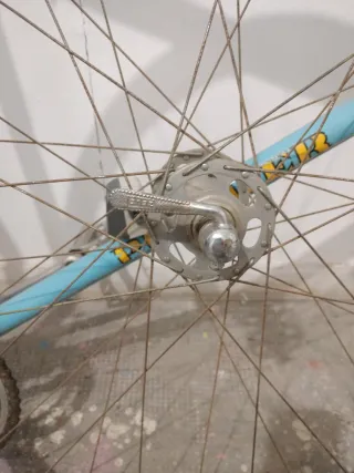 Bicicleta Clásica Azul