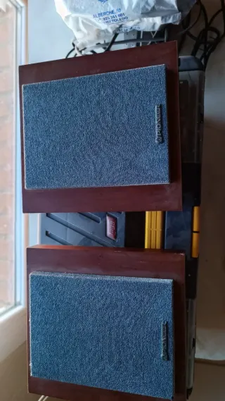 Altavoces Pioneer