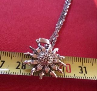 Colgante Eguzkilore Plata con Cadena