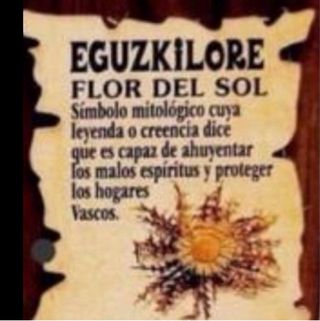 Colgante Eguzkilore Plata con Cadena