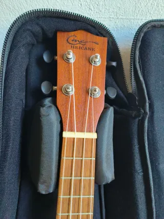 Ukelele con funda