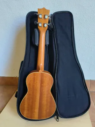 Ukelele con funda