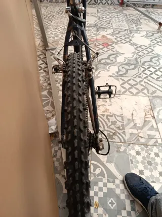 Bicicleta Montaña BH Sunny