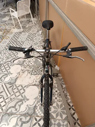 Bicicleta Montaña BH Sunny