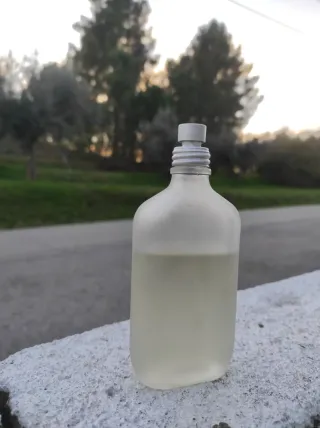 Perfume Calvin Klein CK One Eau de Toilette