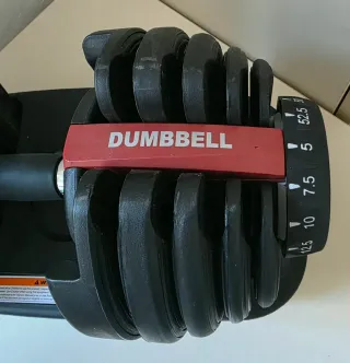 Mancuerna Ajustable 24 kg (52.5 lb)