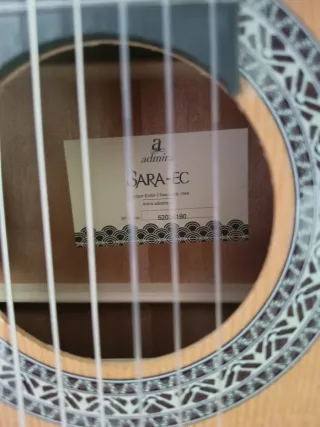 Guitarra Acústica Amplificada