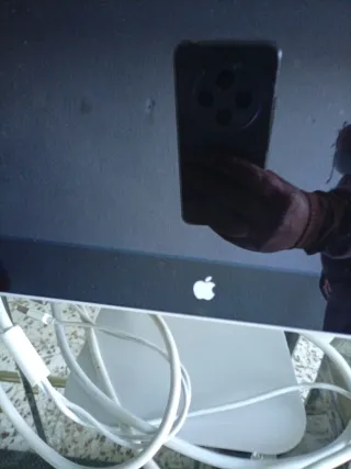 Ordenador Apple Plata