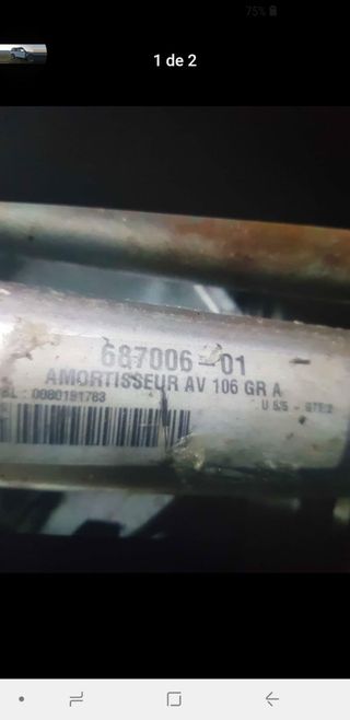 Suspensión Delantera PTS G,A