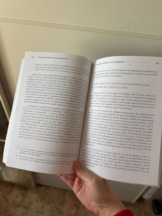 TEORÍA DEL DERECHO. UNA INTRODUCCIÓN