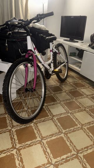 Bicicleta niña Denbike 24