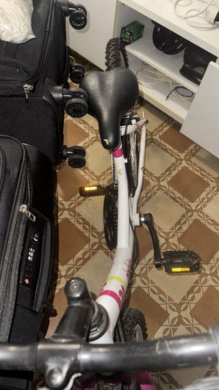 Bicicleta niña Denbike 24