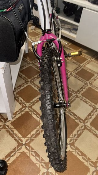 Bicicleta niña Denbike 24