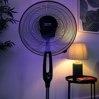 Cecotec Ventilador de Pie con Mando a Distancia