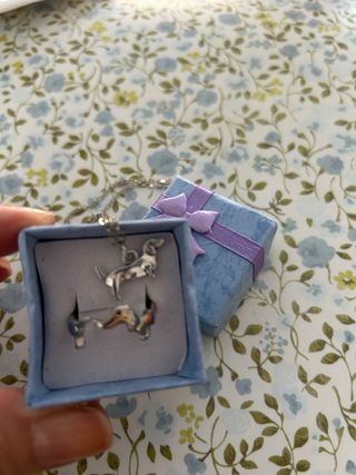 Collar y Anillo Teckel