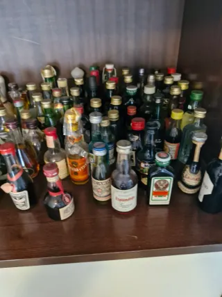 Bottiglie di liquore in miniatura