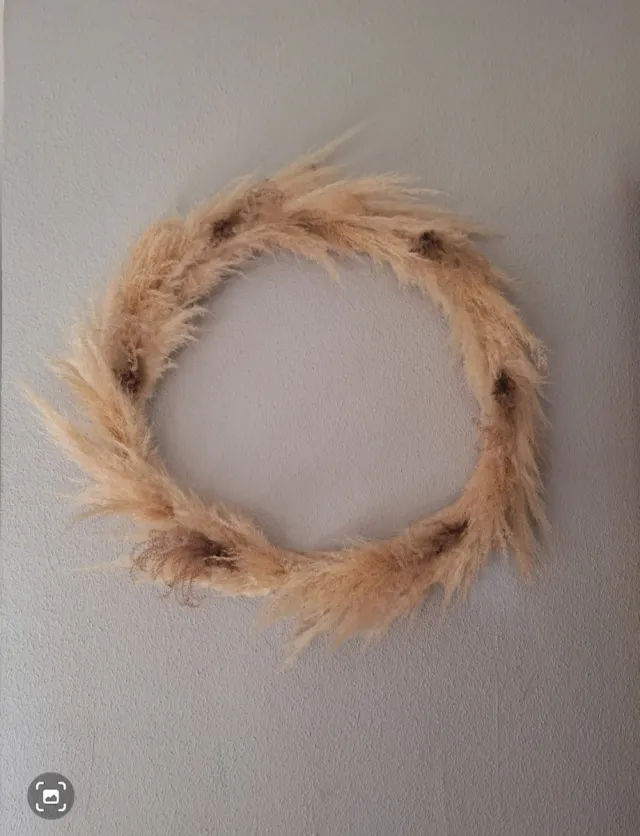 Decoración Hierba de la Pampa Seca