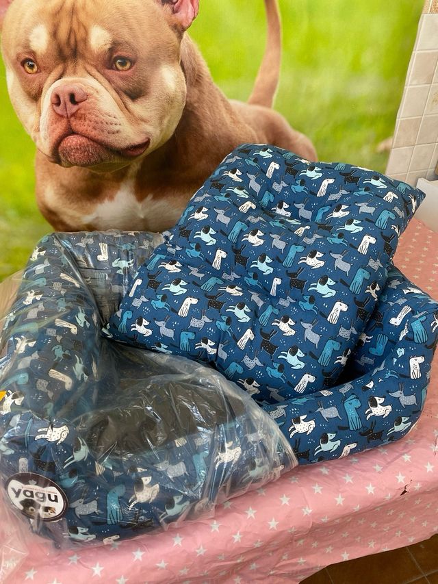 Cama para perro mediano