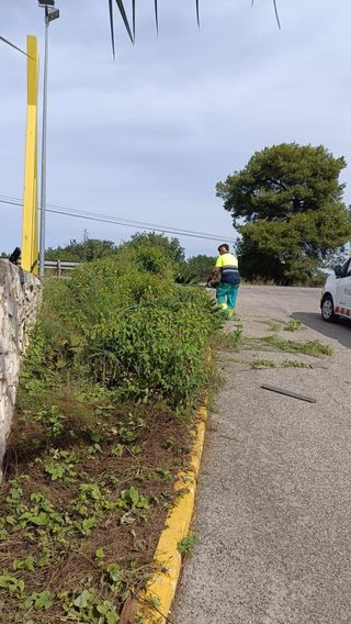 Mantenimiento Jardineria