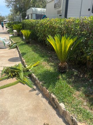 Mantenimiento Jardineria