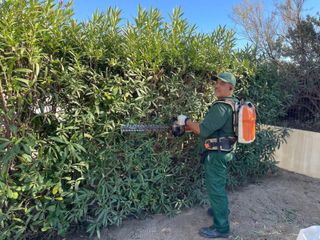 Mantenimiento Jardineria