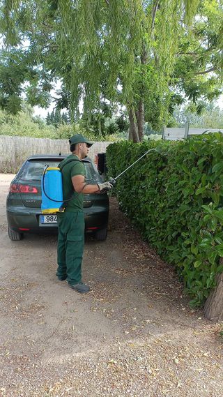 Mantenimiento Jardineria