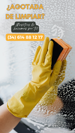 Limpieza a Domicilio x Horas