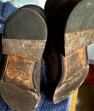 Mocassini TOD'S scamosciati marrone