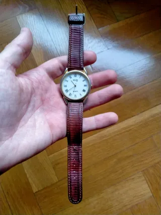 Reloj de pulsera DELAN