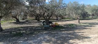 Terreno en venta en Aspe