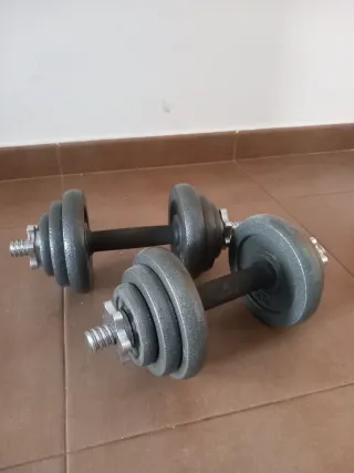 Mancuernas Ajustables 20KG