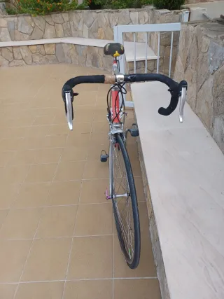Bicicleta Biondi Clásica