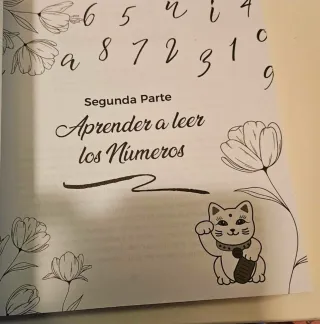 Libro sobre Numerologia