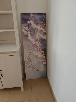 Cuadro Decorativo Tela