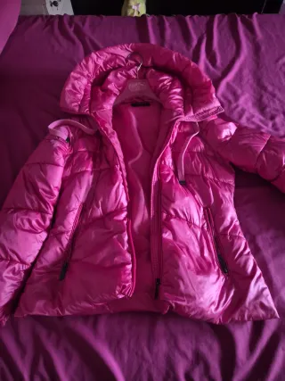 Plumifero Denny Rose Rosa